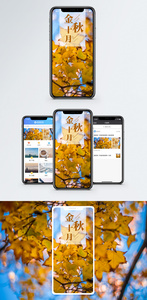 金秋十月手机海报配图图片