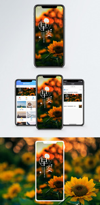 早安手机海报配图图片
