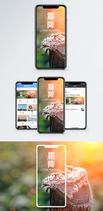 霜降手机海报配图图片