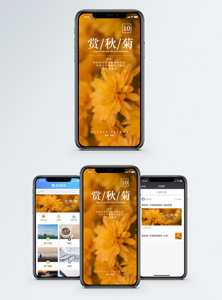 赏秋菊手机海报配图图片