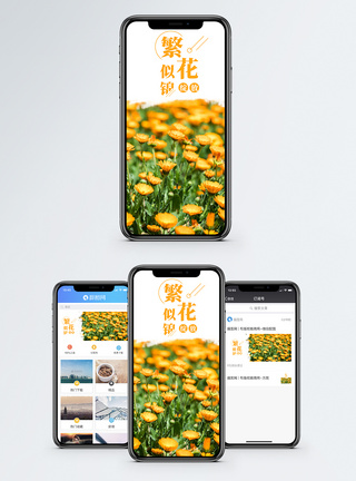 繁花似锦手机海报配图模板