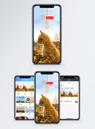 金秋十月十月你好手机海报配图模板