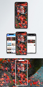 枫叶传情手机海报配图图片