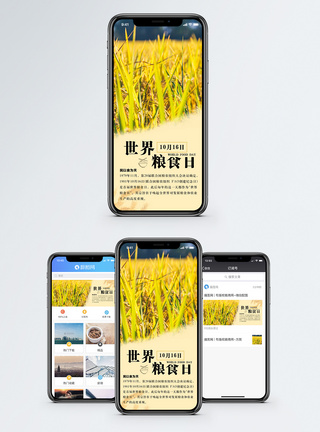 金黄的麦田世界粮食日手机海报配图模板