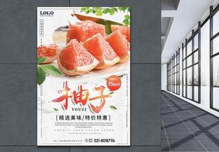 柚子促销海报海报设计高清图片素材