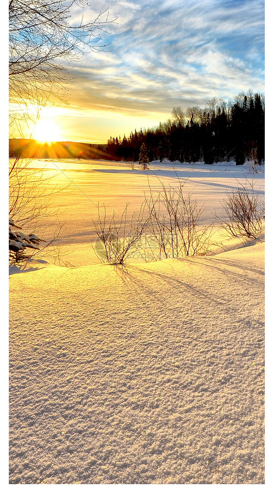 冬日阳光手机壁纸图片