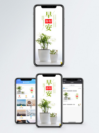 盆栽早安你好手机海报配图模板
