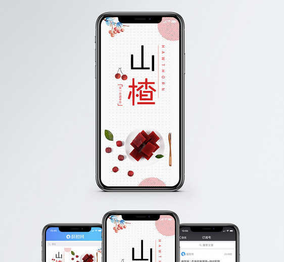 山楂手机海报配图图片