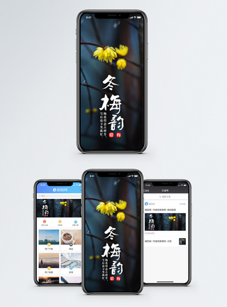 江南冬韵冬梅韵手机花瓣配图模板