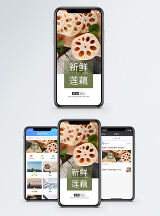 新鲜莲藕手机海报配图图片