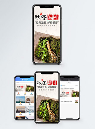 秋冬毛衣秋冬滋补手机海报配图模板
