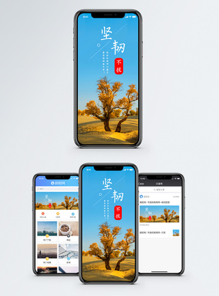 沙漠植物坚韧不拔手机海报配图模板