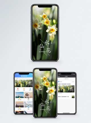 风信子水仙花手机海报配图模板