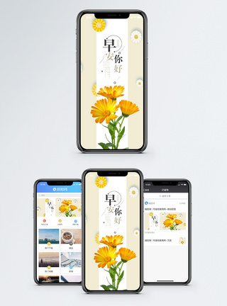 花卉早安手机海报配图模板