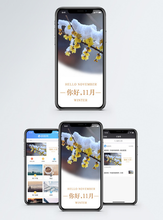 雪压梅花十一月你好手机海报配图模板
