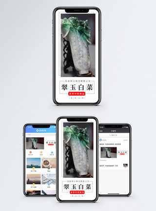 白菜木耳文物国宝手机海报配图模板