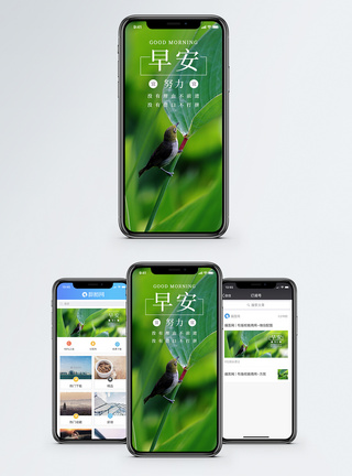 和平鸟早安手机海报配图模板