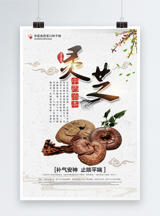 养生食品中国风灵芝药材海报模板