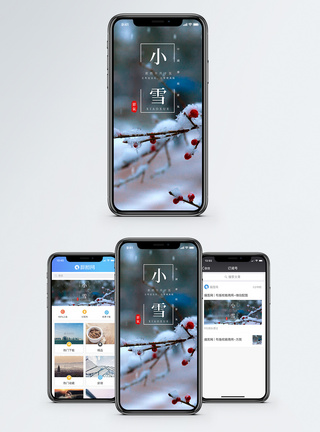 冬天梅花小雪手机海报配图模板