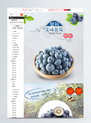 智利蓝莓淘宝详情页图片