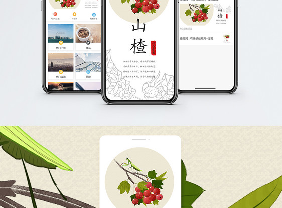 山楂手机海报配图图片