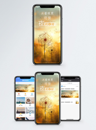 蒲公英傍晚手机海报配图模板