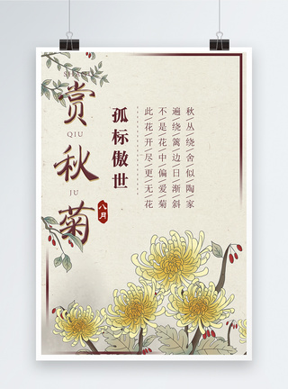 秋季花卉赏秋菊中国风花卉海报模板