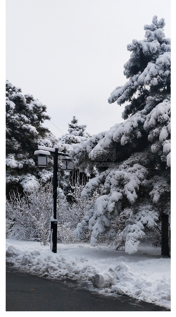 雪景手机壁纸图片