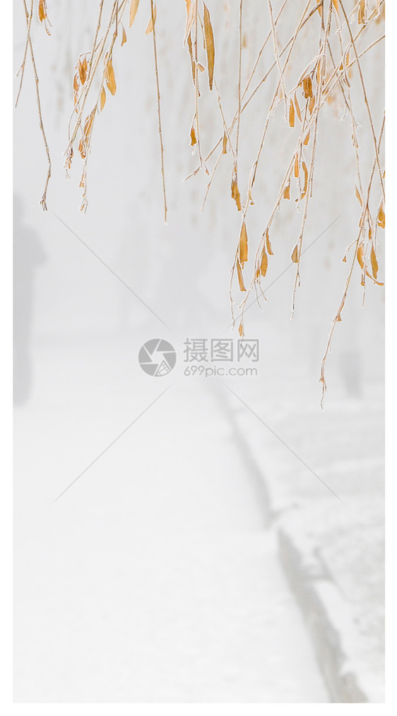雾霾里的冬天手机壁纸图片