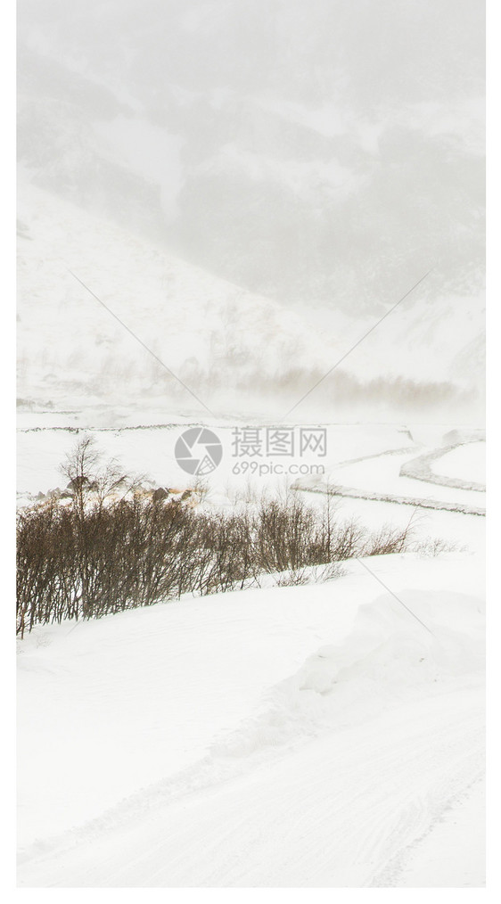 冬天雪景手机壁纸图片