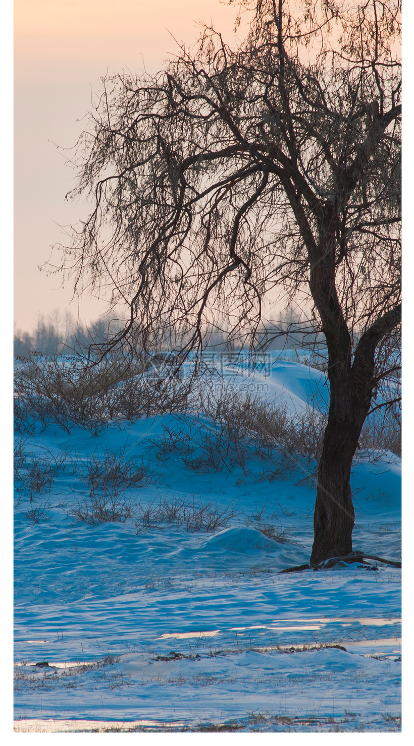 雪景手机壁纸模板素材 正版图片 摄图网