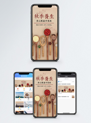 五谷秋季养生手机海报配图模板
