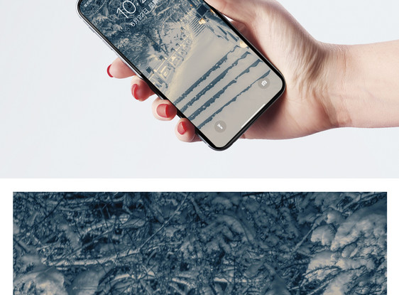 森林雪景手机壁纸图片