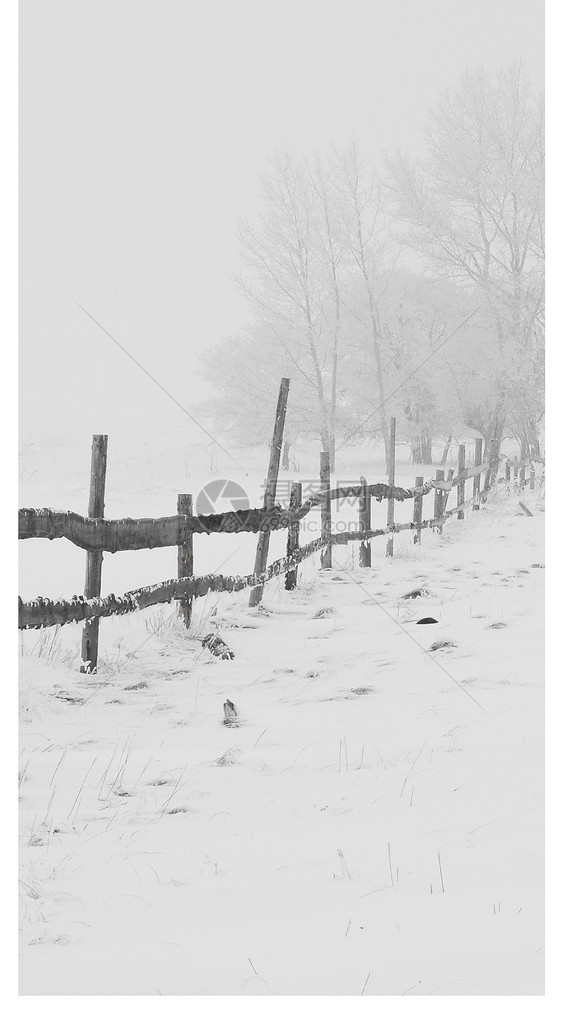 大雪手机壁纸图片