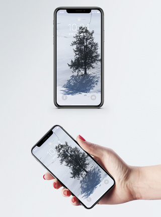 中控屏雪中孤树手机壁纸模板