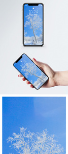 雾凇雪景手机壁纸图片