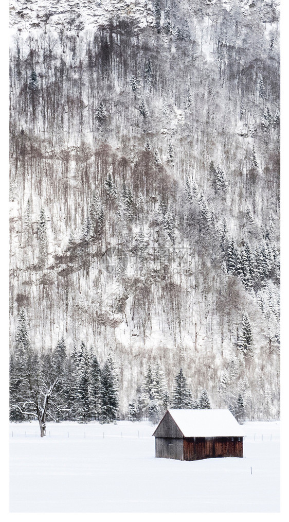 冬日雪景手机壁纸图片