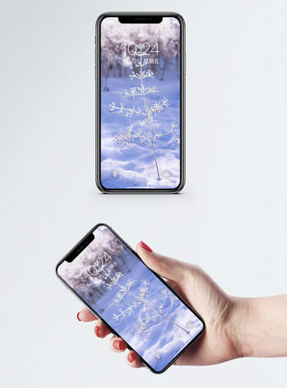 美丽的大自然雪景一棵小树手机壁纸模板