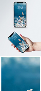 雪中植物手机壁纸图片