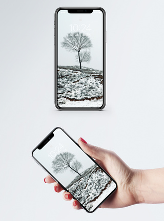 雾凇雪景手机壁纸图片