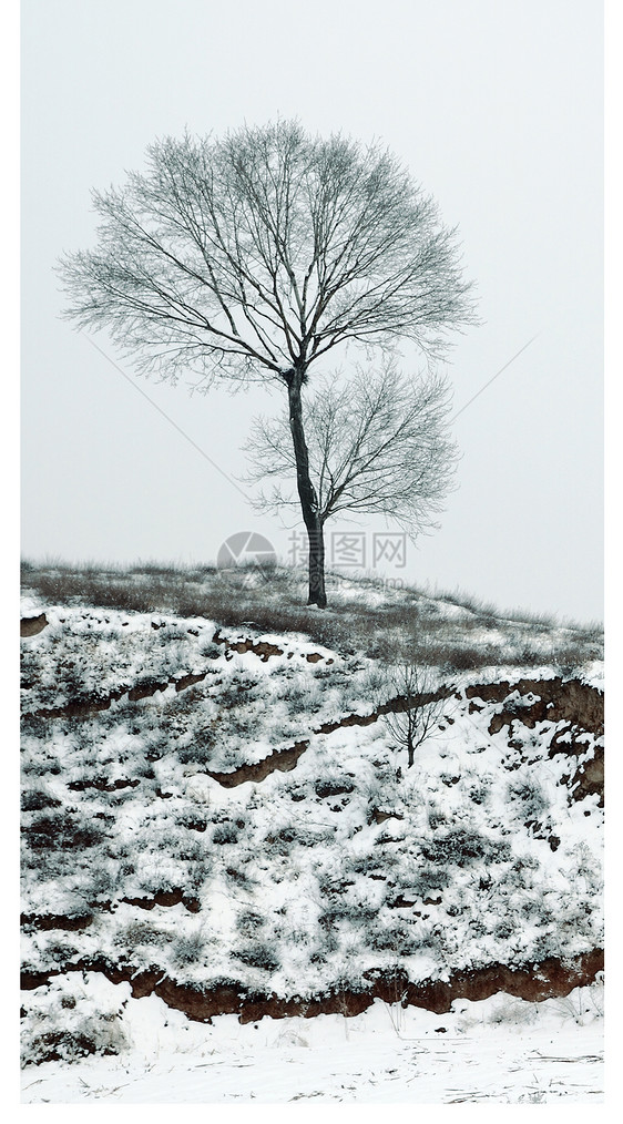 雾凇雪景手机壁纸图片