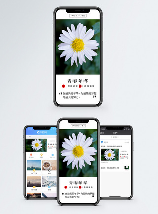 青春年华手机海报配图小清新高清图片素材