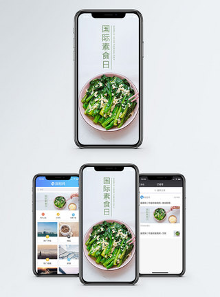 神龙谷国际素食日手机海报配图模板