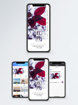 叶子红了手机海报配图图片