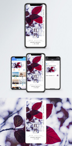 叶子红了手机海报配图图片