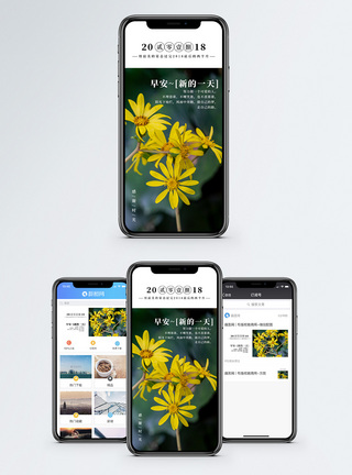 小黄花早安时光手机海报配图模板