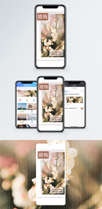 腊梅手机海报配图图片