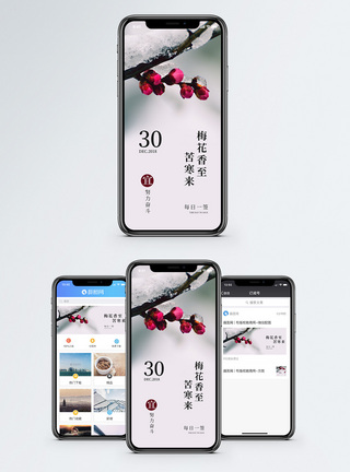 腊梅梅花香至苦寒来手机海报配图模板