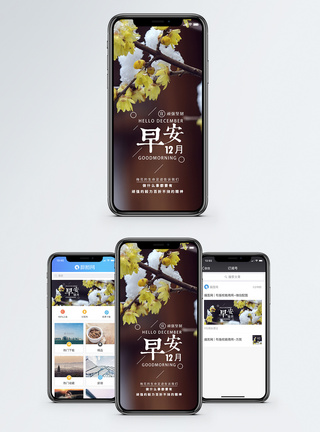 腊梅早安12月手机海报配图模板