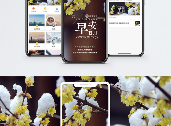 早安12月手机海报配图图片